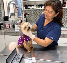 Consultas Médicas