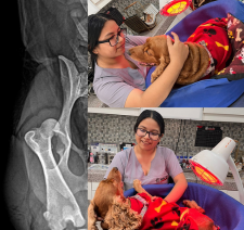 Hospitalización